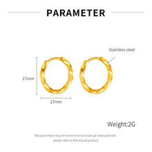 Load image into Gallery viewer, Stainless Steel Hoops
