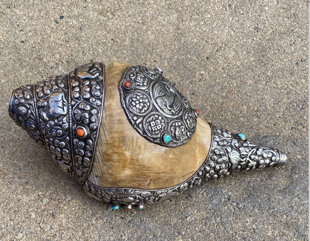 Conque Coquillage