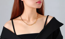 Load image into Gallery viewer, Stainless Steel Chain
