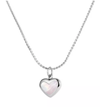 Load image into Gallery viewer, Stainless Steel Pendant

